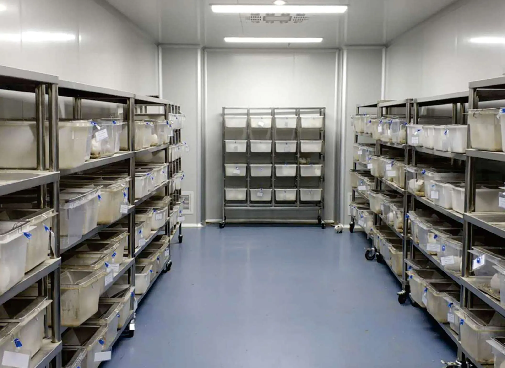 China OECD GLP-Certified Laboratory