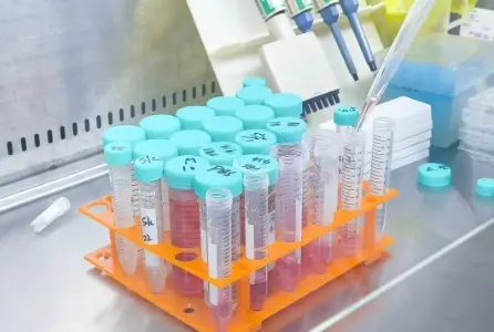 In Vitro Cytotoxicity Test for Medical Devices(图2)