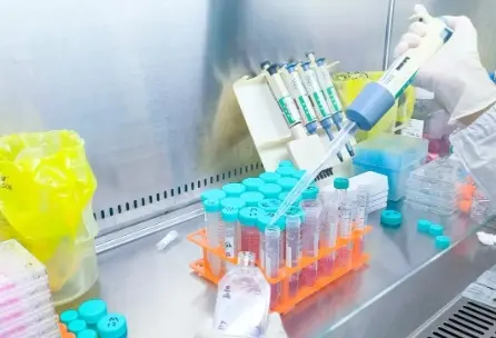 What to Do If Cytotoxicity Test Results Are Positive?