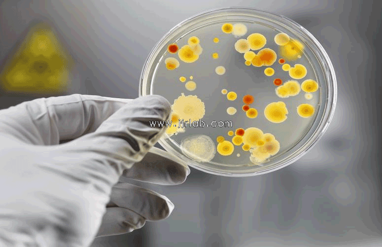 Reusable Medical Device Cleaning Sterilization Ver