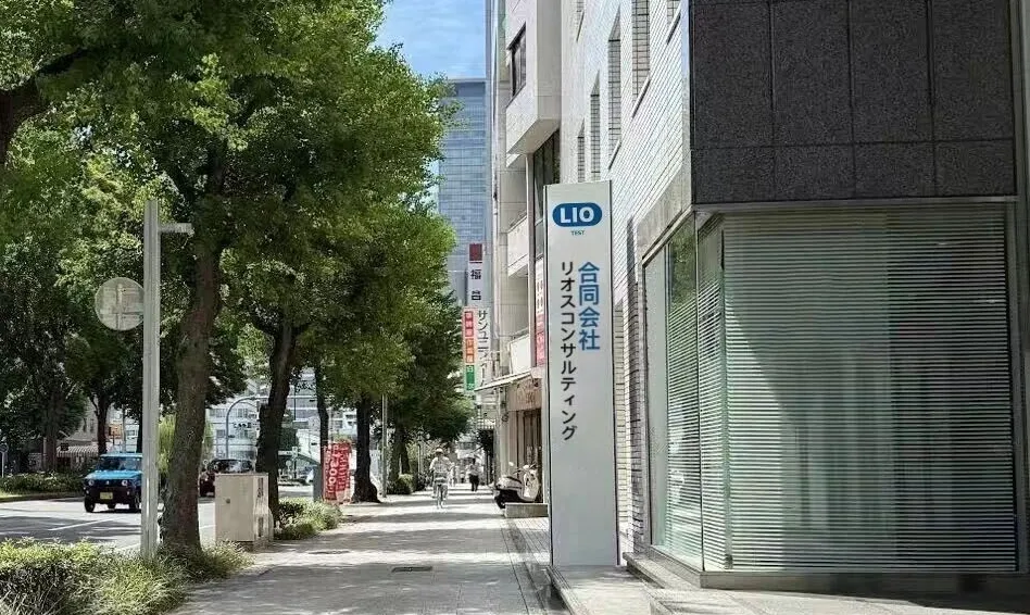 What is "Amazon Japan PSE: A Domestic Adminis